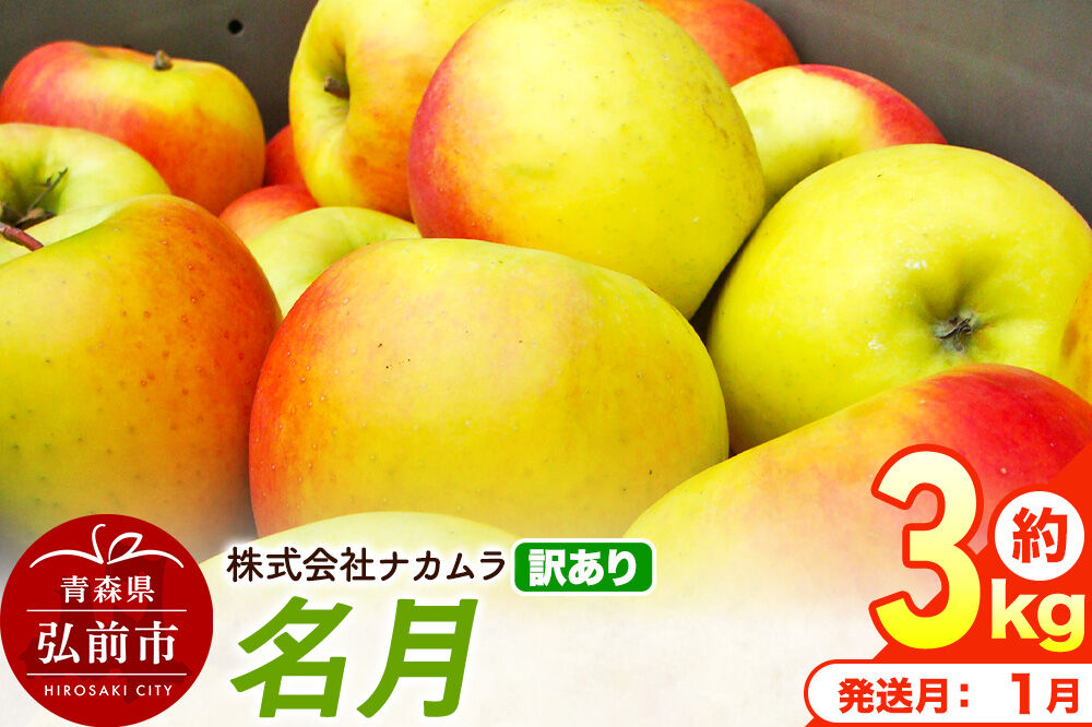 【27年1月発送】りんご 名月【訳あり】約3kg（8〜13玉程度）先行受付 青森県産 林檎 リンゴ 果物 くだもの フルーツ 青森県 弘前市 不揃い 規格外 [先行予約 産地直送 家庭用 アップル おいしい めいげつ 果実 美味 甘い]