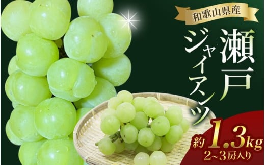 瀬戸ジャイアンツ 約1.3kg ★数量限定・大人気★【2026年8月下旬～2026年9月上旬頃順次発送】/ 和歌山県 かつらぎ町 産地直送 マスカット ぶどう 葡萄 ジューシー 2026年【A240-frks134】