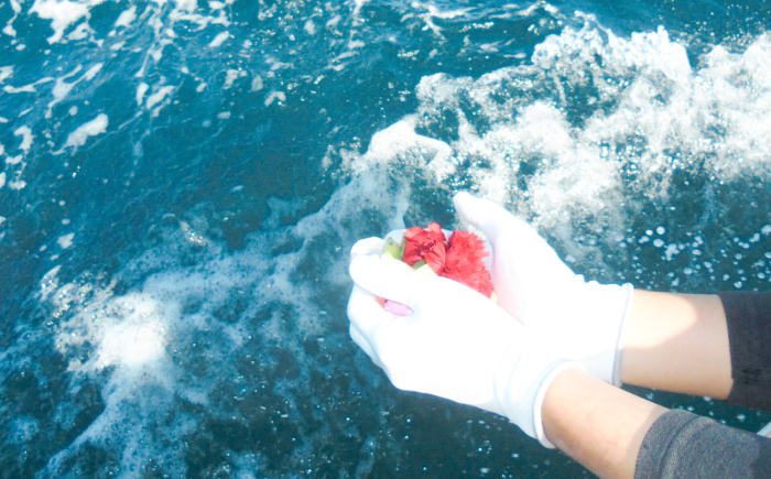 愛猫のための代行海洋散骨供養 (粉骨・散骨証明書・ブックレット付) / ペット供養 愛猫供養 猫 ねこ ネコ 海 埋葬 自然葬 葬儀 お別れ 弔い サービス 代行 委託 メモリアル 遺骨 粉骨 船 プ