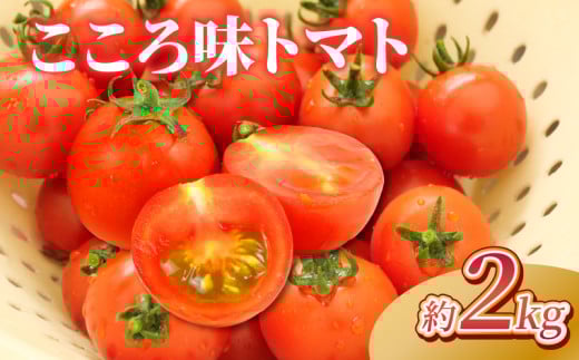 野菜 プチトマト 2kg こころ味トマト ミニ ミニトマト 新鮮 摘みたて 就労支援 こころみファーム　こころ味トマト 産地直送 静岡県 沼津市