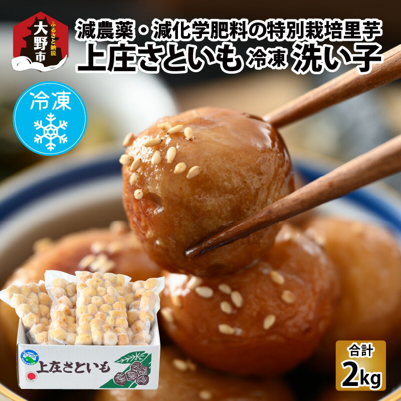 【ふるさと納税】【先行予約】【冷凍里芋】上庄さといも 冷凍 洗い子 2kg（500g × 4袋）【冷凍】減農薬・減化学肥料の特別栽培里芋 【10月中旬より順次発送】農家直送 煮物に便利な小さめサイズ【野菜・冷凍・さといも・里芋・2kg・洗い子】[A-004003]