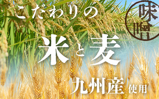 【3回定期便】味噌セット 米味噌・合わせ味噌 各2個（850g×計4個）老舗麹屋の手作り E-193
