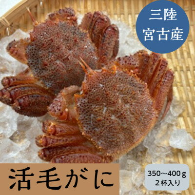 【ふるさと納税】三陸宮古産　活毛ガニ　350g～400g×2杯【配送不可地域：離島・沖縄県・九州】【1711359】