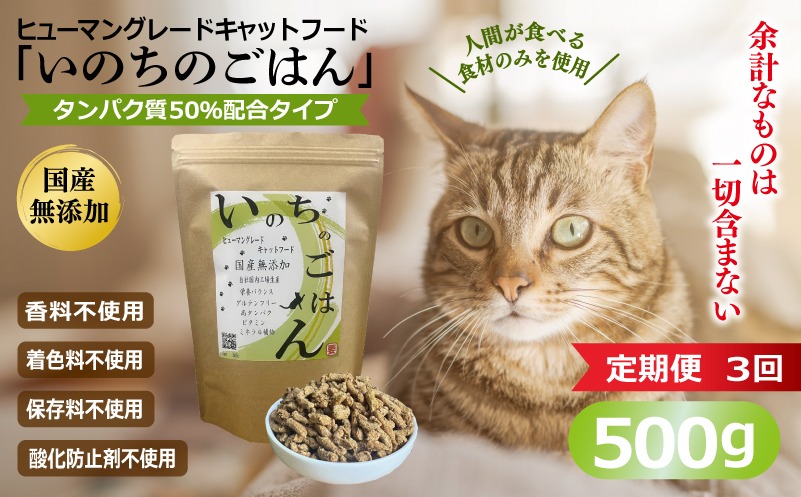 099Z637 【定期便】国産無添加 キャットフード 500g×全3回 「いのちのごはん」タンパク質 50％配合タイプ【猫 ねこ ペットフード チキン 手作り ヒューマングレード 国産】
