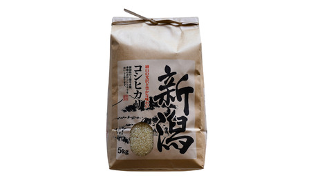 先行予約 新潟県三条市産 コシヒカリ（従来種) 精米 5kg 令和7年産 2025年産 こしひかり [農事組合法人いのこば]【015S196】