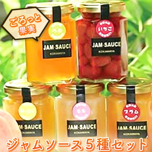 ジャム5種セット～『プレザーブスタイル』150g×5個 かき はっさく キウイフルーツ いちじく ブルーベリー ぶどう 紀の里農業協同組合《90日以内に出荷予定(土日祝除く)》和歌山県 紀の川市---wsk_jakjam_90d_22_13000_5c---