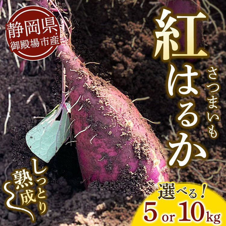 【ふるさと納税】【選べる内容量】さつまいも 紅はるか （5kg・10kg） | サツマイモ さつま芋 芋 べにはるか 熟成 静岡県 御殿場市 ※2026年10月～発送