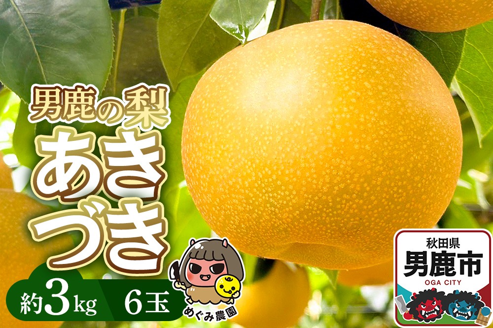 先行受付 男鹿の梨 あきづき 約3kg 6玉 梨 秋田県 男鹿市 ＜めぐみ農園＞|23_mgm-030301