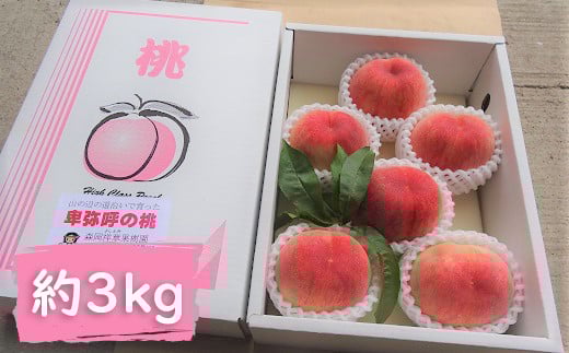 
            M-AD20.【7月中旬から発送】あかつき または 清水白桃 約3kg
          
