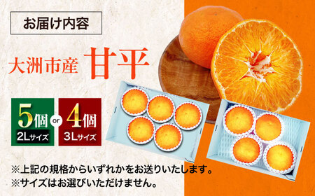 甘平 キウイ セット【2月上旬から順次発送】甘平 かんぺい[AGBA011]