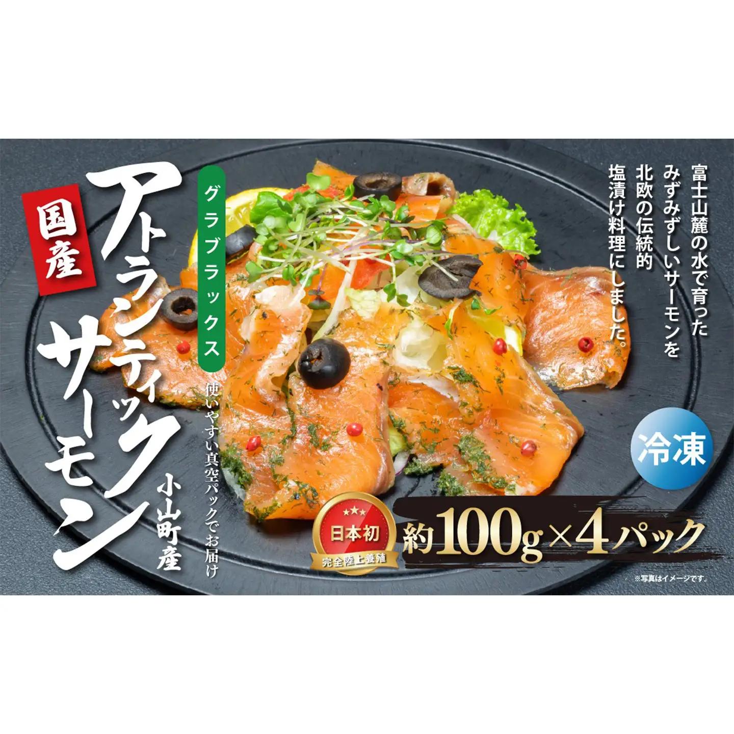 グラブラックス 約100g×4P サーモン 冷凍 サーモン