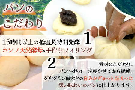 【秘境・椎葉村の愛されパン屋さん】 天然酵母パン 詰め合わせ 7種10個セット【送料無料 パン 冷凍 お取り寄せ 定期便 天然 酵母 詰め合せ セット 低温 長時間熟成 メロンパン あん塩 バターロー