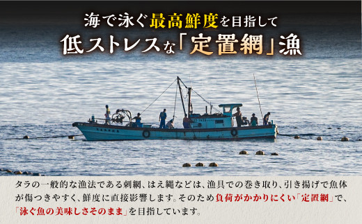 北海道 タラの漬け魚【3パック】
