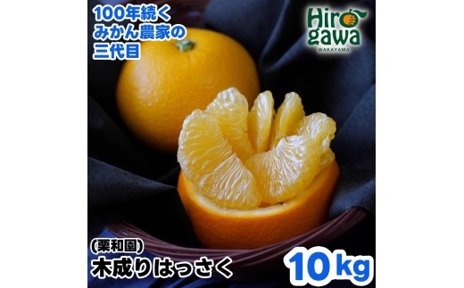 木成り はっさく 10kg サイズ混合【krw022-r-10A】