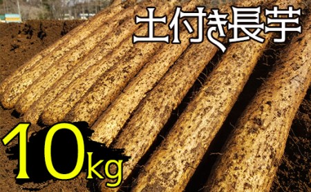 変色しない！ 土付き 長芋 10kg 【ながいも一筋 マル庄】 ／ とろろ 山かけ