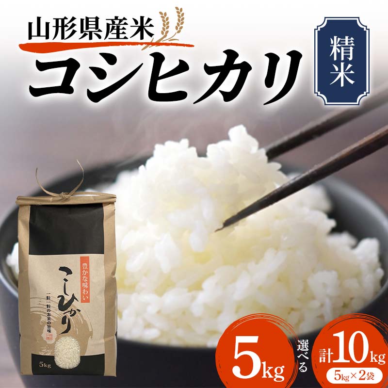 【ふるさと納税】 《先行予約》令和7年産 山形県産米 コシヒカリ 《容量が選べる 5kg／10kg（5kg×2）》 こしひかり 精米 米 お米 おこめ 山形県 新庄市 F3S-2508var