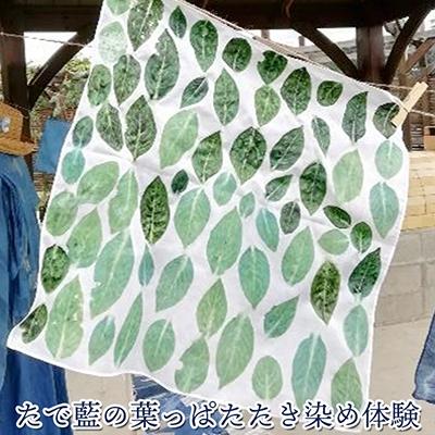 ふるさと納税 大崎市 たで藍の葉っぱたたき染め体験