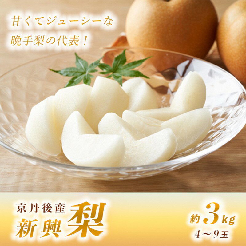 【ふるさと納税】高評価★5.0 高レビュー★ 【先行予約】甘～ぃ！ジューシー！！晩生梨の代表 京丹後産 新興梨 3kg（4～9玉）（2026年9月下旬～発送） 国産 期間限定 デザート ふるさと 納税 梨 なし ナシ 先行予約 期間限定 ふるさと 納税 フルーツ
