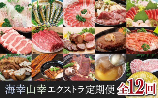 
【定期便】海幸山幸 エクストラ厳選 定期便（全12回） お肉 お魚 豚肉 牛肉 黒豚 鹿児島黒牛 すき焼き サーロイン ステーキ しゃぶしゃぶ 角煮 鰻 蒲焼 刺身用 たかえび 薩摩甘えび 海老 マグロ さつま揚げ 焼豚 ハム レトルト ハンバーグ 出汁 鰹節
