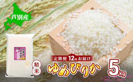 米 令和6年産 【12回お届け】 定期便 北海道 芦別産 R6年産 ゆめぴりか 白米 5kg ごはん お米 新米 特A ライス 北海道米 ブランド米 ご飯 あっさり ふっくら 調整済 食味ランキング  ギフト 川崎森田屋 送料無料