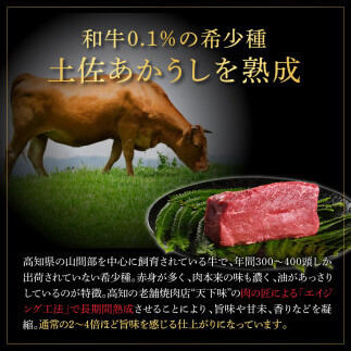 特選 ヒレ肉サイコロステーキ 土佐あかうし 長期熟成肉 500g×2 合計1kg 田野屋銀象 完全天日塩付き ヒレ肉 ステーキ 肉 お肉 和牛 牛肉 国産 牛 熟成肉 豪華 贅沢 真空パック 冷凍_イ