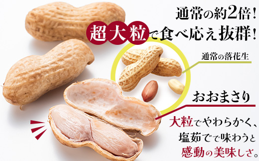食べ応え抜群の大粒落花生「おおまさり」５００g袋×８袋≪数量限定≫鹿児島県産