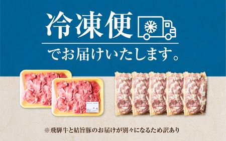 定期便 全5回 訳あり 飛騨牛 切落し400g×2パック 結旨豚 切り落とし 300g×5袋 全部 小分け 計約2.3kg 白川郷 もも ウデ バラ ミックス 定期配送 牛肉 豚肉 お肉 国産 白川村