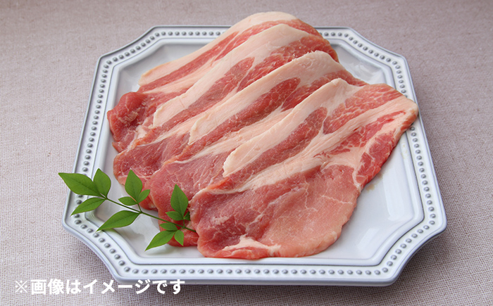 北海道 十勝 かみこみ豚 豚ロース 豚丼セット 4人前（豚ロース150g×4パック・タレ180cc）《足寄町》【両国食堂】豚丼 豚肉 豚ロース 豚 豚丼のタレ タレ ギフト 十勝 北海道産 道産 あし