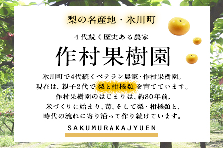 作村果樹園のあきづき梨 約5kg(9～13玉前後) 熊本県氷川町産 作村果樹園《8月中旬-9月末頃出荷》梨 なし