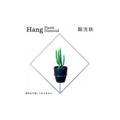 ふるさと納税 幸田町 GRAVIRoN Hang Plants シリーズ Diamond　 酸洗鉄(プランツハンガー)