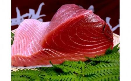 【定期便全5回】生まぐろの本場紀州勝浦から直送！　生メバチマグロ 約600g（1カ月に1回お届け）（全5ヵ月）