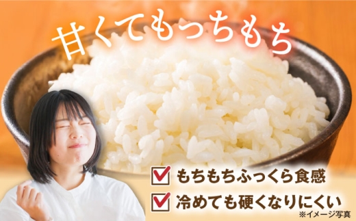  滋賀県 湖北のミルキークイーン 9kg (白米)　米 お米 ご飯 ごはん ゴハン おにぎり 炊き込みご飯 人気 おすすめ