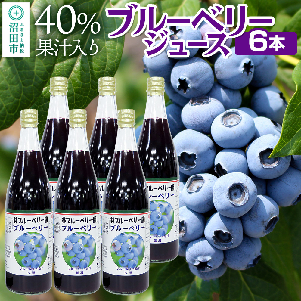 40％果汁入り ブルーベリージュース 720ml×6本セット