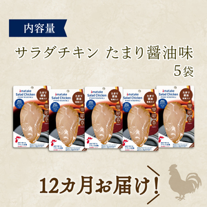  【 定期便 / 12ヶ月 】サラダチキン (たまり醤油味) 100g ×5袋 (500g×12回) 冷凍 フランス赤鶏 皮なしむね肉 国産 鶏肉 機能性表示食品 pH調整剤不使用 リン酸塩不使用 増