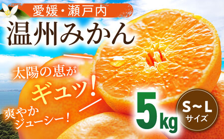 温州みかん5kg（S~Lサイズ）[AGBN047] 愛媛みかん愛媛みかん愛媛みかん愛媛みかん愛媛みかん愛媛みかん愛媛みかん