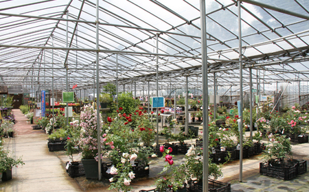 東北最大級のガーデニング専門店 厳選 『季節の寄せ植え』 ／ 花 寄せ植え 季節 鉢植え 【花工房らら倶楽部】