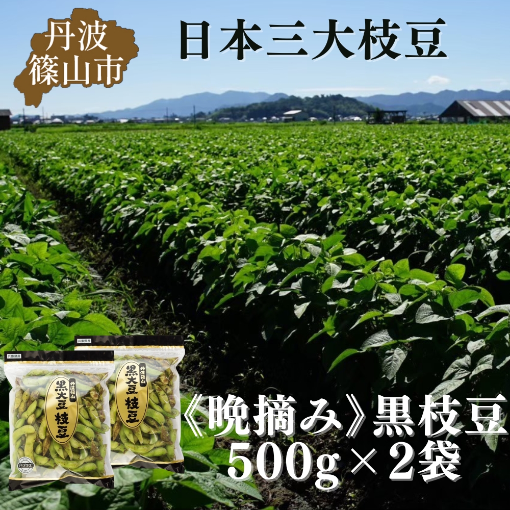 【先行予約】秋の味覚「丹波黒枝豆」  濃厚なコク・500g×2袋　晩摘み 【2026年10月22日頃～11月上旬頃発送予定】 知る人ぞ知る日本三大枝豆（丹波黒枝豆・黒崎茶豆・だだちゃ豆）のひとつ！