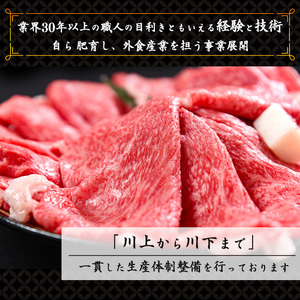 ＜2024年3月発送＞【辛口】ピリッとスパイシー！ゴロっと山形牛入り精肉店の特製ビーフカレー4箱（辛口）【気軽にお家 ディナー】015-D-YL011