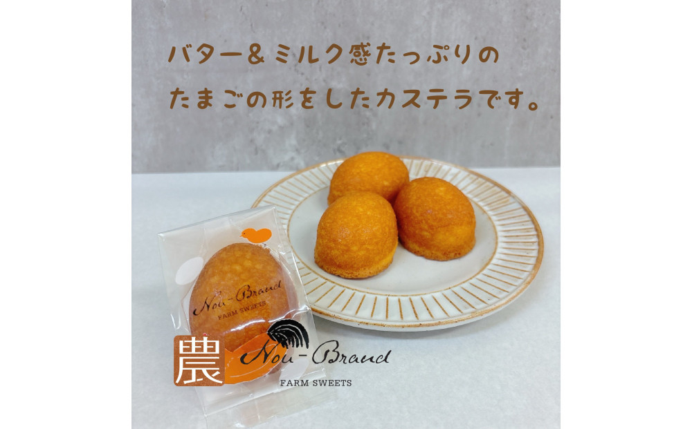 名古屋コーチン卵　カステラ（10個入り）