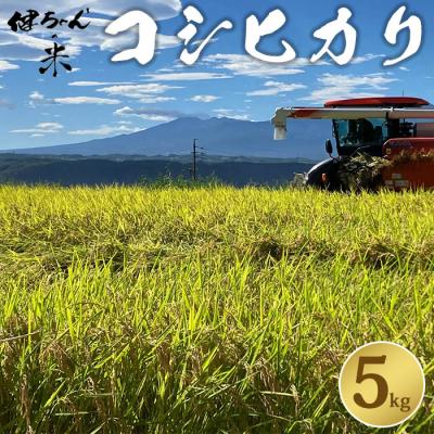 ふるさと納税 東御市 コシヒカリ白米5kg 米・食味鑑定分析コンクール特別優秀賞受賞!冷めても美味しい健ちゃんちの米