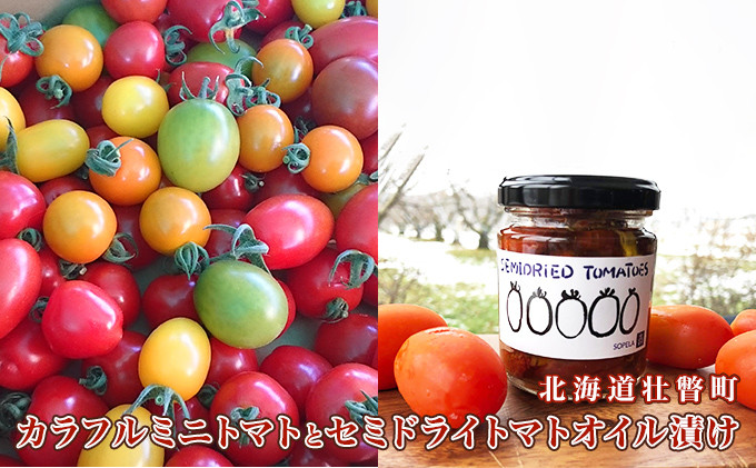 
[№5724-0671]北海道壮瞥産 大作農園の「カラフルミニトマト」約500g（5種以上）とセミドライトマトオイル漬け1瓶（110g）のセット
