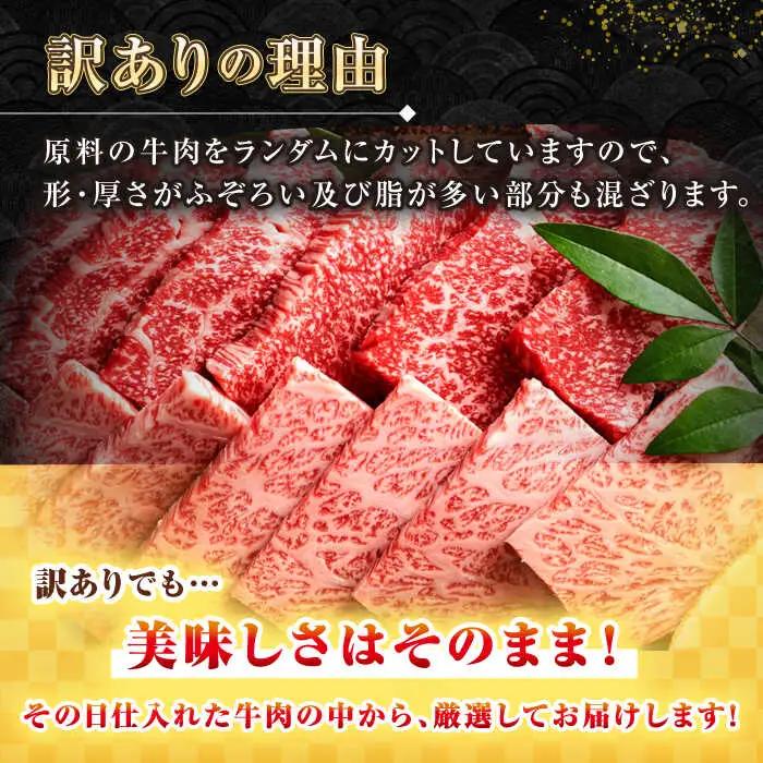 【訳あり】【A4〜A5ランク】長崎和牛 焼肉切り落とし 1kg（500g×2パック）(肩ロース・バラ） [JGH022]訳あり