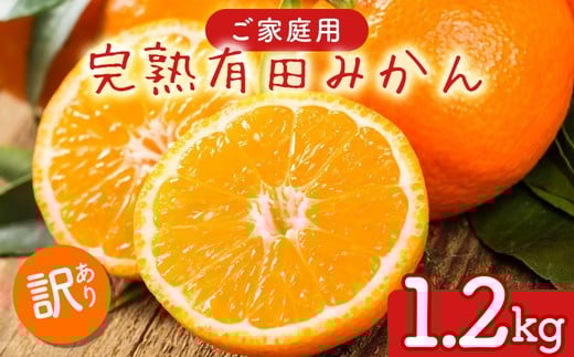 
            【先行予約】【数量限定】濃厚有田みかん（ご家庭用）1.2kg(1kg+200g(傷み補償分))｜有田みかんみかん 濃厚みかん みかんご家庭用 みかん5.7kg みかん5.5kg みかん傷み補償 みかん先行予約 みかん数量限定 ミカン 蜜柑 温州みかん ありたみかん 完熟みかん 完熟有田みかん ※2025年10月上旬～2026年1月下旬頃に順次発送予定 ※北海道・沖縄・離島への配送不可
          