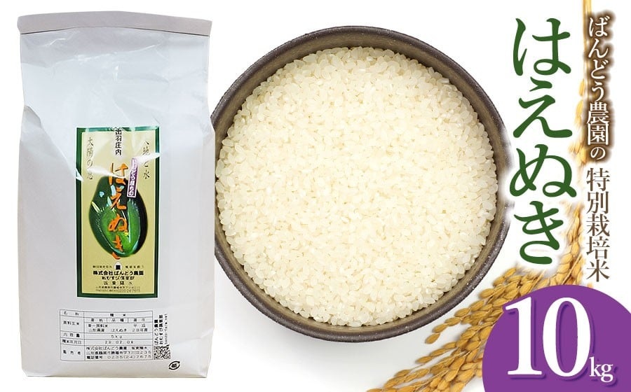 【令和7年産】 ばんどう農園の特別栽培米はえぬき 白米10kg　山形県鶴岡市産　K-777