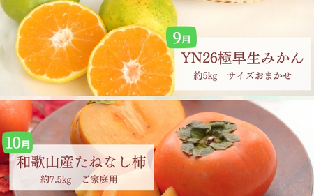 【定期便全6回】夏・秋の新鮮フルーツ定期便【tec-tkb001】