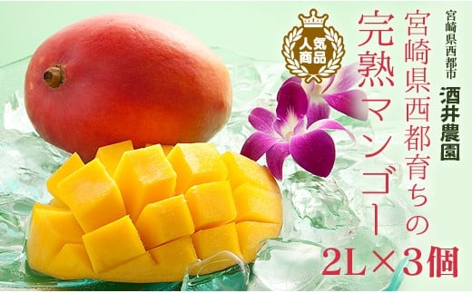 【酒井農園 】西都産 宮崎完熟マンゴー2L×3個 産生者直送＜1.7-47＞【先行予約】宮崎マンゴー 2026年発送  果物 フルーツ 甘い