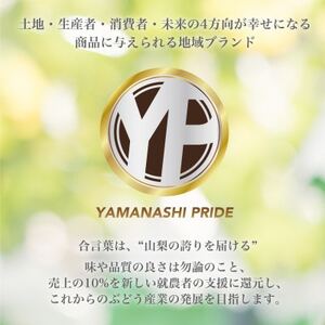 【2024年先行受付】とろける甘み YAMANASHI PRIDE 完熟 桃 (5～8個)【配送不可地域：離島・北海道・沖縄県・中国・四国・九州】【1222000】