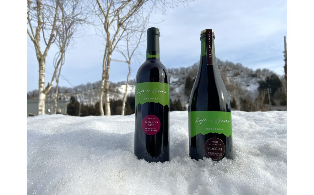 
                  【時を愉しむ】南魚沼産熟成カベルネ2020＆最新スパークリング赤 2本セット
                