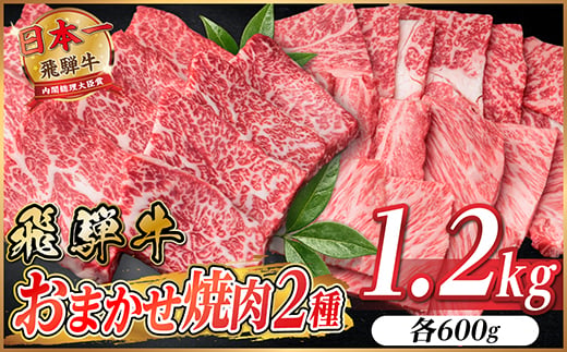 飛騨牛　おまかせ焼肉2種セット約1.2kg(各約600g) 訳あり　BBQ　上カルビ・ロースなど【1738981】