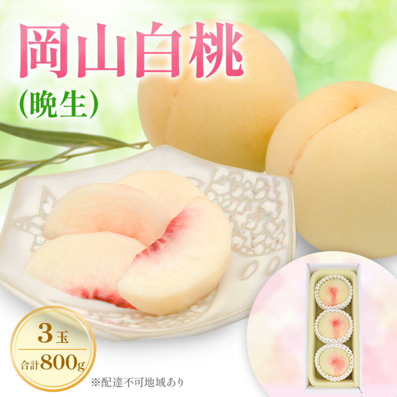 【ふるさと納税】もも 2026年 先行予約 岡山白桃 ロイヤル (晩生) 3玉 合計約800g (8月中旬～8月下旬出荷予定)　お届け：2026年8月10日～2026年8月31日